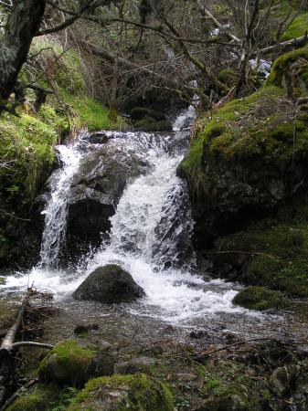Imagen PARQUE NACIONAL SIERRA DE GUADARRAMA